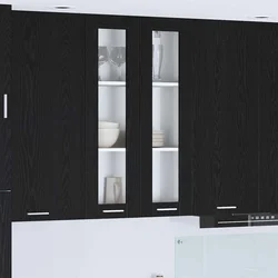 Viseći ormarić s pohranom Riga Crni hrast 60 x 31 x 100 cm