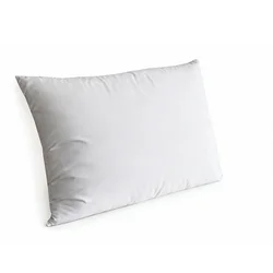 Jastuk BELLA COMFORT 40x60
