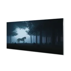 tulup.si Steklena slika Las noč samorog 140x70 cm 4 obešalnika