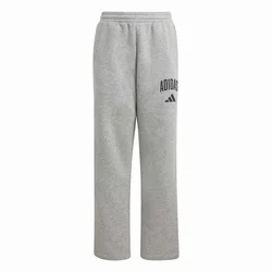 Adidas J CLGT FL PNT, dječije hlače, siva KE537