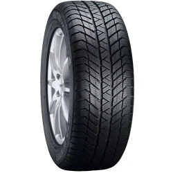 Platin RP 70 Winter ( 225/45 R17 94H XL )