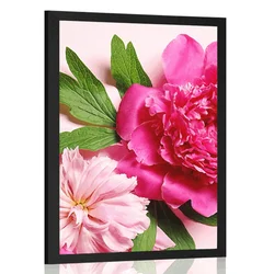 Plakat potonike v rožnati barvi - 40x60 silver