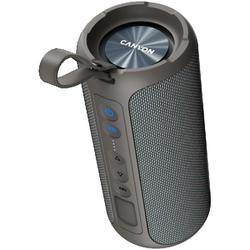 Canyon Brezžični zvočnik OnMove 15, 40 W, BT 5.0, SD, AUX, mikrofon, način TWS, IPX6, 6 ur predvajanja, RGB, bež