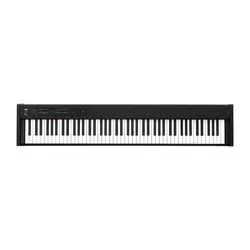 Korg D1