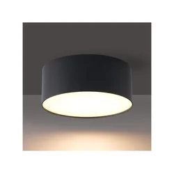 BRILAGI - LED spoljašnje plafonsko svetlo FORIS LED/20W/230V prečnik 15 cm crno IP44