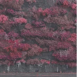 Sleep Token - Even In Arcadia (CD)