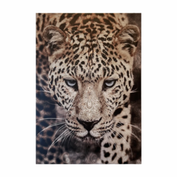 Mystic Leopard – stenska slika – 65 x 92,5 cm