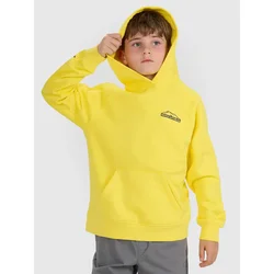 Boys sweatshirt 4F