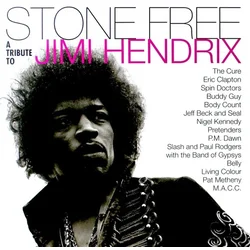 Various Artists - Stone Free (Coloured) (2 LP)