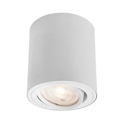 Markslöjd 109020 - LED prigušiva reflektorsko svetlo DIRETTO LED/5W/230V belo
