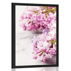 Plakat španski bezeg na marmorju - 60x90 silver