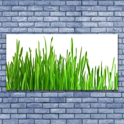 tulup.si Slika na platnu Grass nature rastlin 125x50 cm