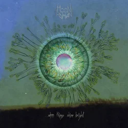 Moon Woman - ...When Things Shine Bright (LP)