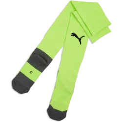 Puma Nogavice teamLIGA26 Core