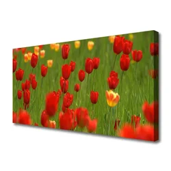 tulup.si Slika na platnu Rastlin tulipani 100x50 cm