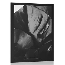 Plakat list monstere v črnobeli varianti - 20x30 black