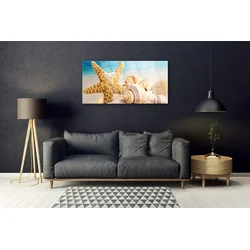 tulup.si Steklena slika Starfish shell art 125x50 cm 2 obešalnika