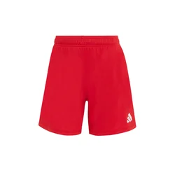 ADIDAS PERFORMANCE Športne hlače ENT26 rdeča/bela