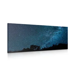Slika mlečna steza med zvezdami - 80x40