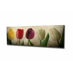 Opviq Slika na platnu 30x80cm
