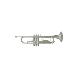 Trobenta Roy Benson Bb TR-202S RB701.072