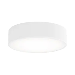 LED plafonsko svetlo CLEO LED/24W/230V 4000K prečnik 30 cm belo
