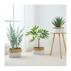 Eglo 426585 - SET od 3 dekorativnih korpi NANAE 16x27 cm bela/bež