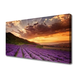 tulup.si Slika na platnu Področje lavender sunset 120x60 cm