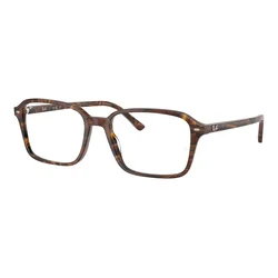 Ray-Ban Raimond Naočare RX 5431 8395
