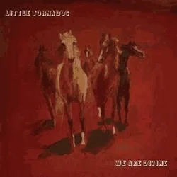 Little Tornados - We Are Divine (LP)