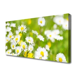 tulup.si Slika na platnu Daisy flower rastlin 100x50 cm