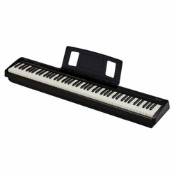 Električna klaviatura FP-10 Roland