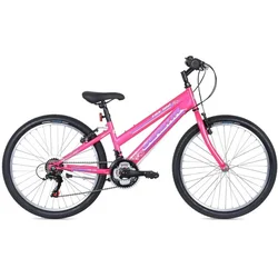 BIKE BERETTA TRX-100 24