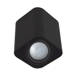Spot svetiljka SIROK 1xGU10/30W/230V crna