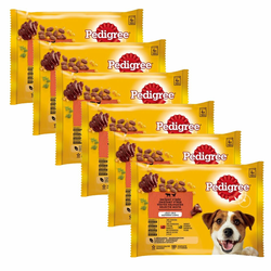 Pedigree Mixed izbor hran v želatini 6x(4x100 g)