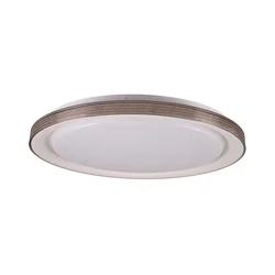 LED prigušiva kupatilsko plafonsko svetlo GRAŻYNA LED/72W/230V 3000-6000K prečnik 51 cm IP44 +DO