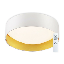 Top Light - LED prigušiva stropna svetiljka LED/24W/230V +daljinski upravljač bela