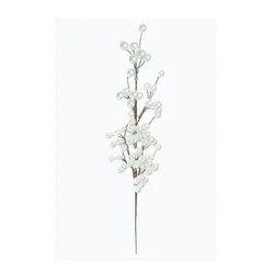 Lilium grana biseri beli 60cm 595842