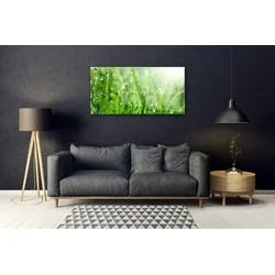 tulup.si Slika na steklu Narava grass drops 125x50 cm 2 obešalnika