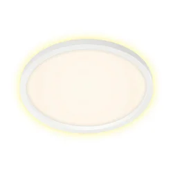 Briloner 7363-016 - LED plafonsko svetlo CADRE LED/22W/230V prečnik 42,5 cm bela