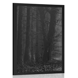 Plakat pot v gozdu v črnobeli varianti - 60x90 no frame