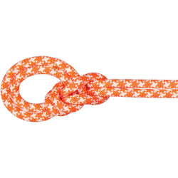 Mammut 9.5 Crag Classic Rope