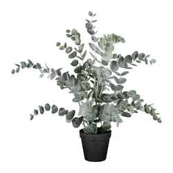 Veštačka Biljka 53cm Eucalypthus Ii
