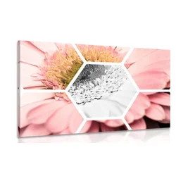 Slika gerbera v šestkotniku - 60x40