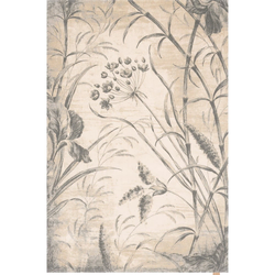 Kremno bela volnena preproga 300x400 cm Botany – Agnella