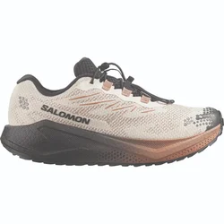 Salomon AERO BLAZE 4 GRVL GTX, muške patike za trčanje, bež L45403200