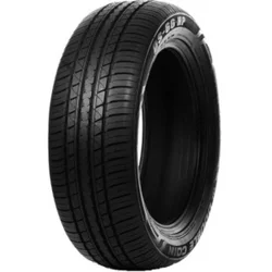 Double Coin DS66HP ( 255/50 ZR19 107W XL )