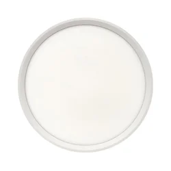 LED plafonsko svetlo LED/24W/230V 3000/4000/6500K prečnika 30 cm, belo
