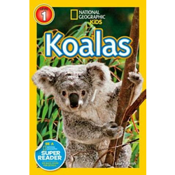 Laura Marsh - Koalas