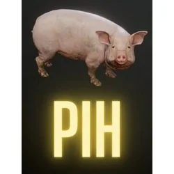 Pih Steam Key (PC) GLOBAL